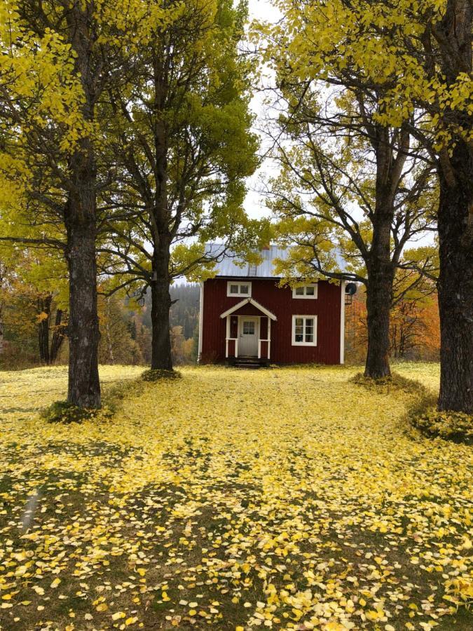 Vålågårdens Värdshus och Camping AB Vålådalen Exteriör bild