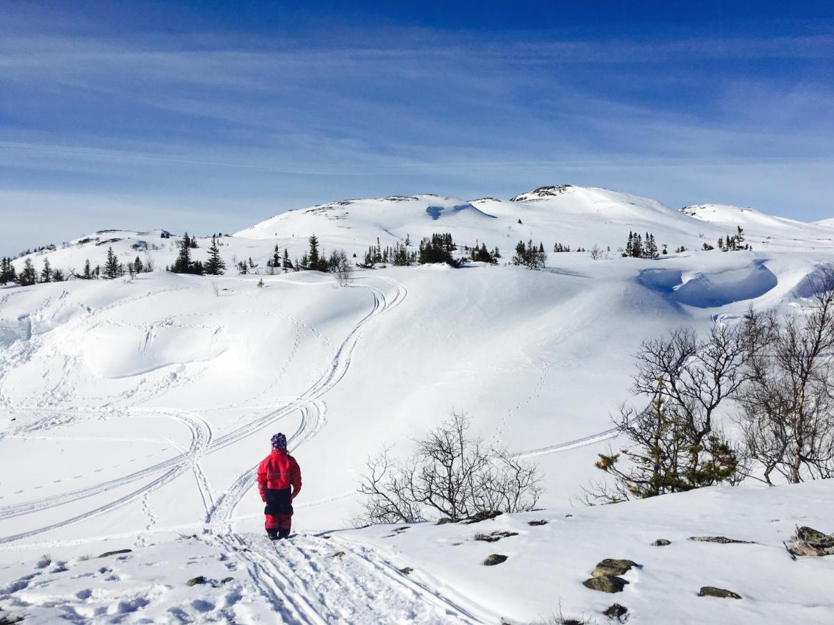 Vålågårdens Värdshus och Camping AB Vålådalen Exteriör bild