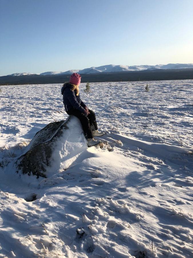 Vålågårdens Värdshus och Camping AB Vålådalen Exteriör bild